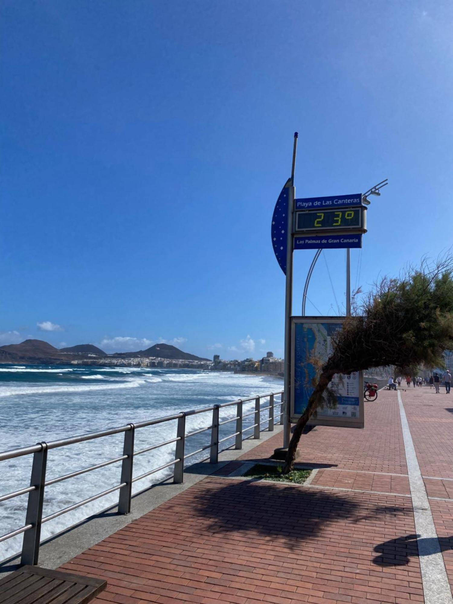 דירות לאס פאלמס דה גראן קנאריה Loft Santa Catalina Park מראה חיצוני תמונה